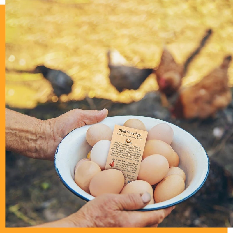 Gethelud 200 PCS Fresh Farm Egg Handling Instruction Cards, Double-sided Printing Egg Carton Stamp Bulk with Washed/Unwashed Fresh Egg Care Accessories Card Labels for Farm Fresh Eggs (3.5” x 2”) - Image 4
